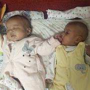 kecoyo的个人资料头像