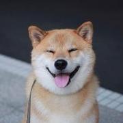 shi先生的个人资料头像