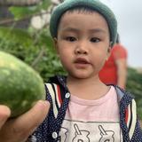一点心意670头像