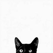 文森里的猫的个人资料头像