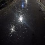 你好像是我的幸福头像