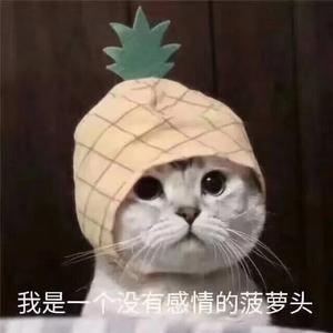 从来一次么头像