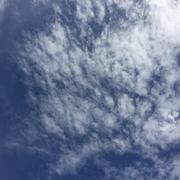 sunflowerbhl的个人资料头像