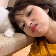 18333的个人资料头像