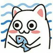 爱吃猫咪的小鱼干的个人资料头像