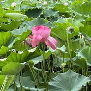 undefined1234的个人资料头像