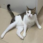 bugOrFeature的个人资料头像