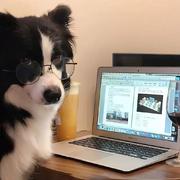 Winky237的个人资料头像