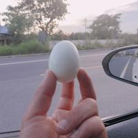 大地一声雷头像