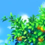 未央解的个人资料头像