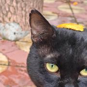 用户69559004228的个人资料头像