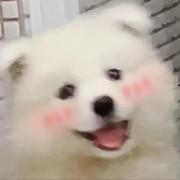 浅辰850的个人资料头像