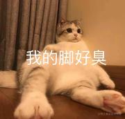 云笈的个人资料头像