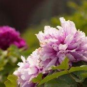 webmote的个人资料头像