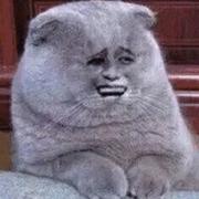 如何恢复啊的个人资料头像