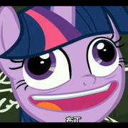 YzSkayr的个人资料头像