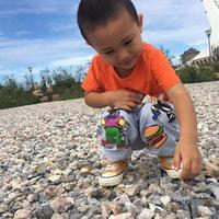 弓长亻韦日月头像