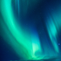 热情的饺子oj头像