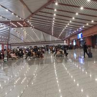 非凡小猫uk头像