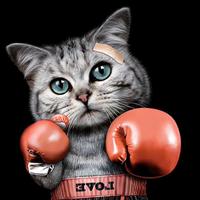 可靠沙滩ep头像