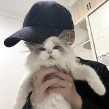 派大楷头像