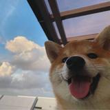 用户3416631310572头像