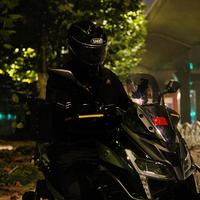 风雨无阻的胖胖头像