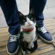 肥美的洪洪哥的个人资料头像