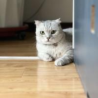 风过留声处头像