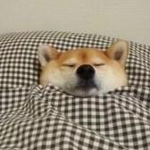 用户765860103553头像