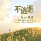 明尼苏达13头像