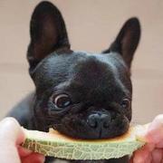 wjh要逆袭的个人资料头像