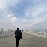 风随心舞12头像