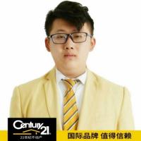 优雅冰淇淋dl8头像