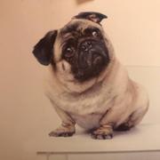 hitourlee的个人资料头像