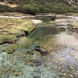 吴家建药师头像