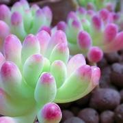 jianwuch的个人资料头像