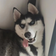 ME不信的个人资料头像