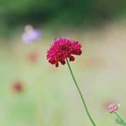 风北的个人资料头像