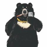 积极的船帆Teq头像
