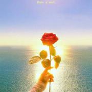 Cinderella的个人资料头像