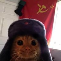 等车的弟弟头像