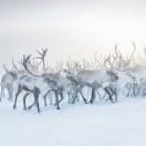 neilz的个人资料头像