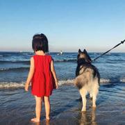 是桃子的个人资料头像