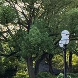 清新山丘枣红色头像