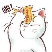 Lazydays的个人资料头像