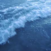 plouuuuuu的个人资料头像