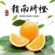 赣南脐橙供应链苏生头像