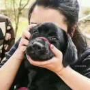 双桥吴彦祖的个人资料头像