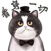 周末必下雨的个人资料头像